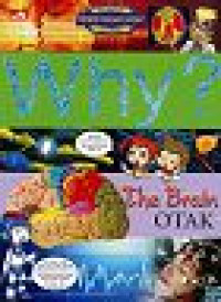 Image of Why? : The Brain = Otak