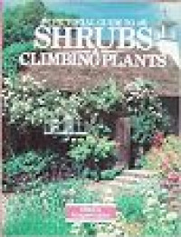 Image of Shrubs Climbing Plants