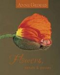 Image of Flowers Petals & Posies