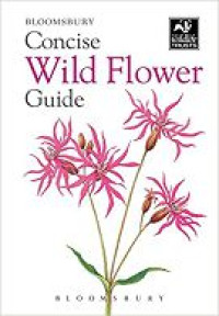 Image of Concise Wild Flower Guide