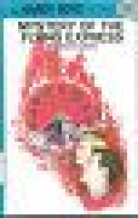 Image of Mystery of The Flying Express