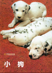 Image of 《小狗》 Anjing kecil