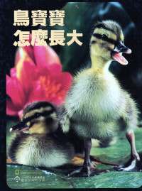 Image of 《鸟宝宝怎么长大》 Bagaimana bayi burung bertumbuh