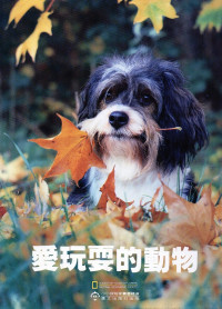 Image of 《爱玩耍的动物》Hewan yang suka bermain