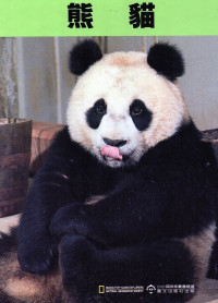 Image of 《熊猫》 Panda