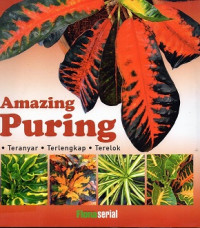 Image of Amazing Puring - Teranyar -Terlengkap - Terelok