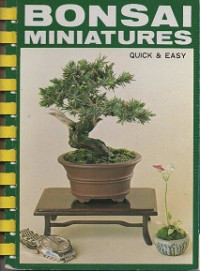 Image of Bonsai Miniatur