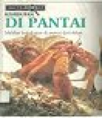 Image of Kehidupan di Pantai: Melihat Kehidupan di Pantai dari Dekat