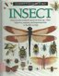 Image of Eyewitness Books: Insect