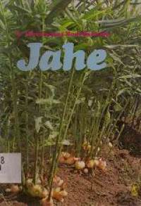 Image of Jahe