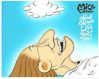 Image of Obladi Oblada Life Goes On